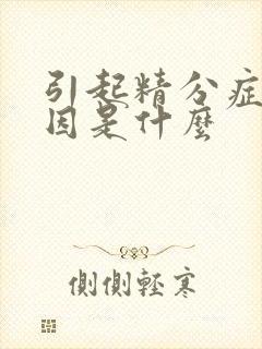 引起精分症的原因是什么封面