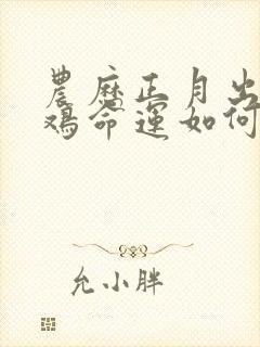 农历正月出生的鸡命运如何