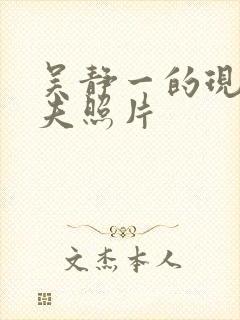 吴静一的现任丈夫照片