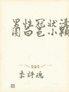 男性冠状沟有一圈白色小颗粒