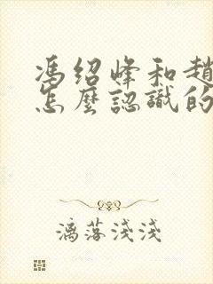 冯绍峰和赵丽颖怎么认识的