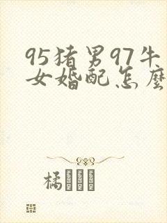 95猪男97牛女婚配怎么样封面