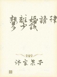 想离婚请律师要多少钱