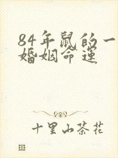 84年鼠的一生婚姻命运