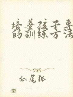 培养孩子专注力的训练方法培训班封面