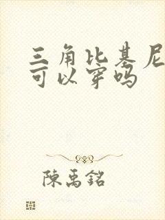 三角比基尼小胸可以穿吗