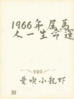 1966年属马人一生命运