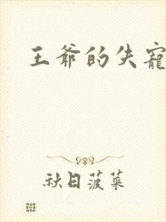 王爷的失宠冷妃