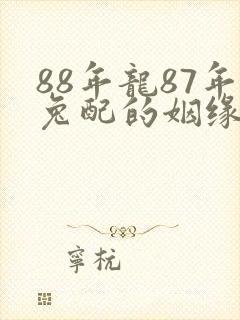 88年龙87年兔配的姻缘怎么样封面
