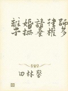 离婚请律师要孩子抚养权多少钱封面