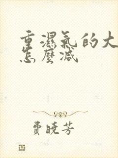 重湿气的大肚子怎么减