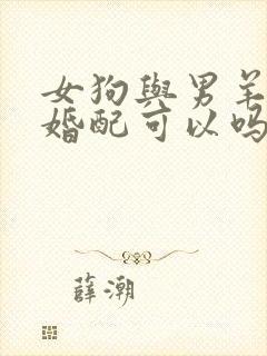 女狗与男羊属相婚配可以吗封面