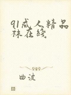 91成人精品丝袜在线