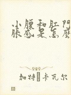 小腹和肛门有坠胀感是怎么回事