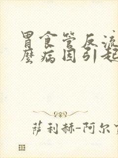 胃食管反流是什么病因引起的