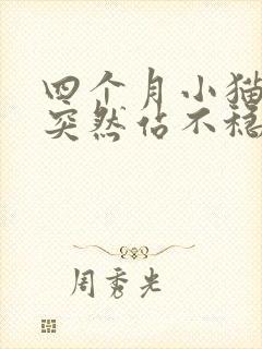 四个月小猫后腿突然站不稳了