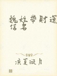 魏姓带财运的微信名