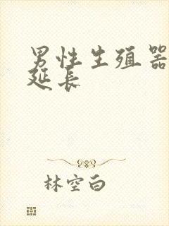 男性生殖器手术延长