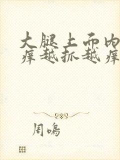 大腿上面内侧痒痒越抓越痒有小红疙瘩