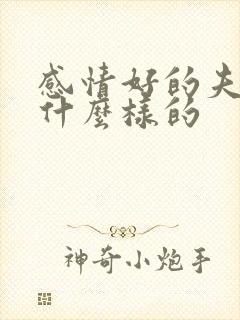 感情好的夫妻是什么样的