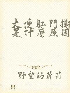 大便肛门撕裂疼是什么原因封面