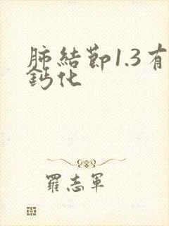 肺结节1.3有钙化封面