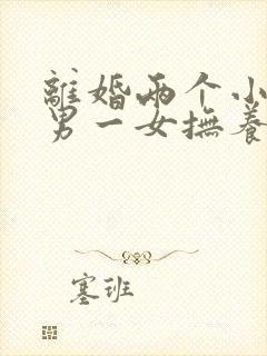 离婚两个小孩一男一女抚养权怎么判定