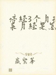 停经3个月后又来月经是怎么回事封面