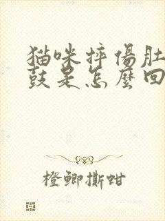 猫咪摔伤肚子鼓鼓是怎么回事