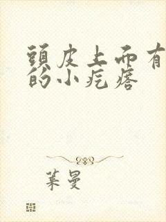 头皮上面有红色的小疙瘩