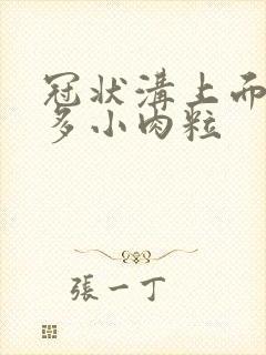 冠状沟上面有很多小肉粒