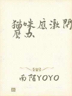 猫咪应激闭尿怎么办