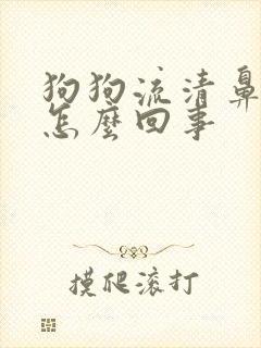 狗狗流清鼻涕是怎么回事