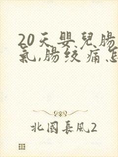 20天婴儿肠胀气,肠绞痛怎么办