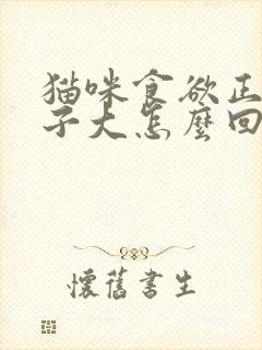 猫咪食欲正常肚子大怎么回事