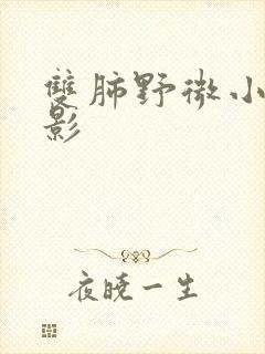 双肺野微小结节影