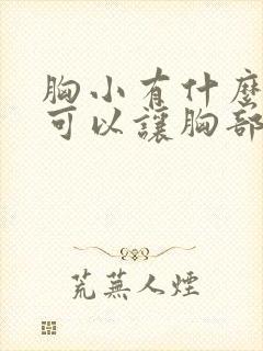 胸小有什么办法可以让胸部变大