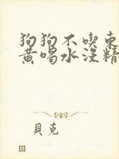 狗狗不吃东西尿黄喝水没精神