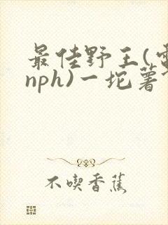 最佳野王(电竞nph)一坨薯饼