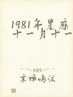 1981年农历十一月十一日出生的命运