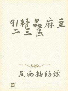 91精品麻豆一二三区