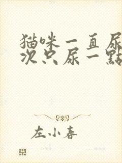 猫咪一直尿 每次只尿一点是什么情况封面