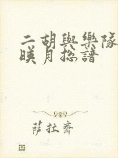 二胡与乐队二泉映月总谱