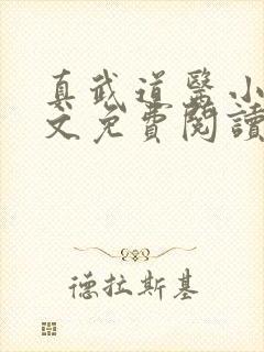 真武道医小说全文免费阅读无弹窗