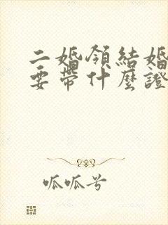 二婚领结婚证需要带什么证件