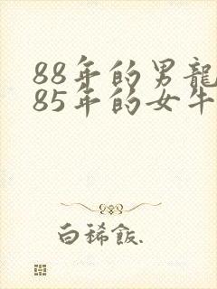 88年的男龙和85年的女牛婚配怎样封面