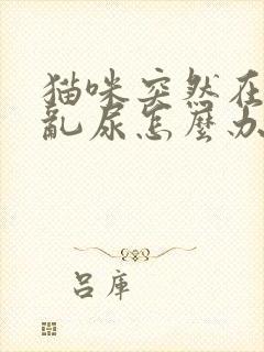 猫咪突然在家里乱尿怎么办