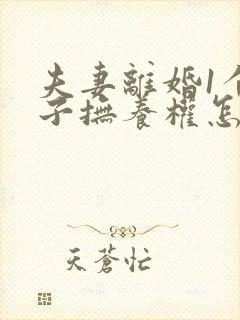 夫妻离婚1个孩子抚养权怎么判定