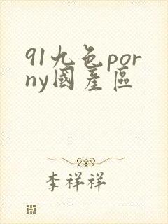 91九色porny国产区