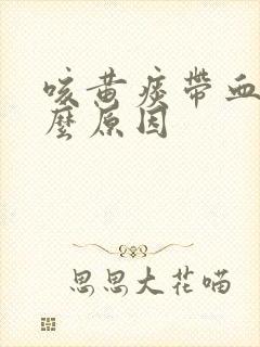 咳黄痰带血是什么原因